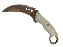 Rust Coat