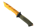 Tiger Tooth