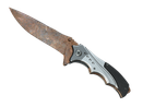 Rust Coat