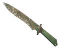 Forest DDPAT