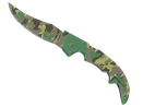 Boreal Forest