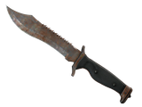 Rust Coat