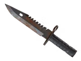 Rust Coat