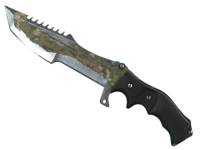 Forest DDPAT
