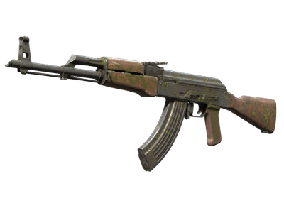 Olive Polycam