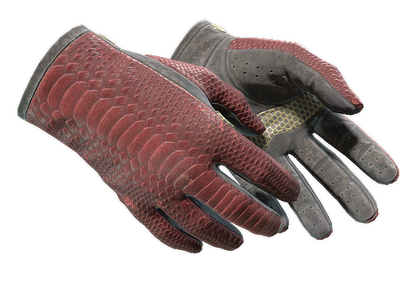 Dragon Fists